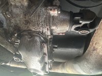 IMG_9611.jpeg