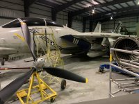 IMG_4100.jpeg