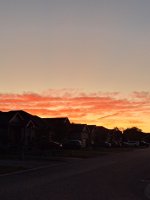 20250818_055839.jpg