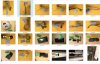 PARTS.jpg PARTS.jpg
