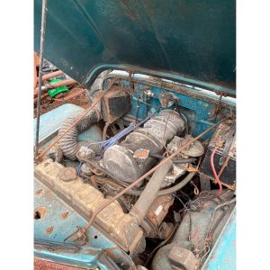 Willys 230 LI 2022.jpg